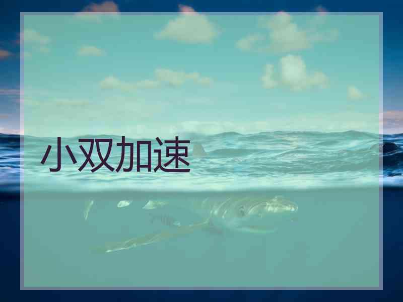 小双加速