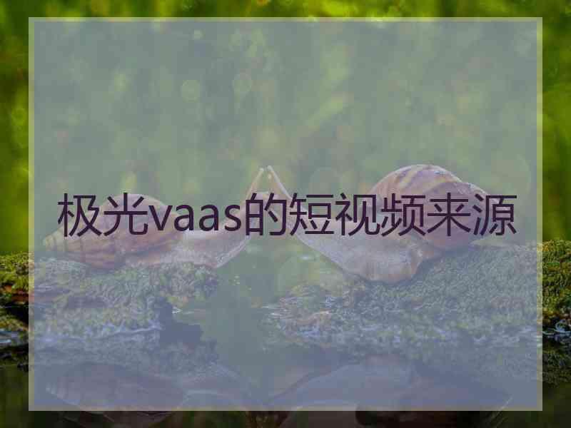极光vaas的短视频来源