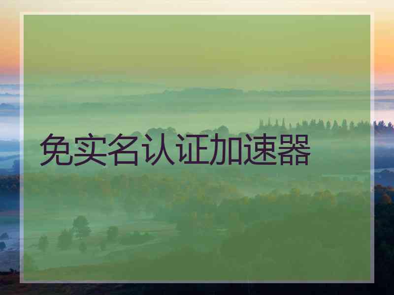 免实名认证加速器