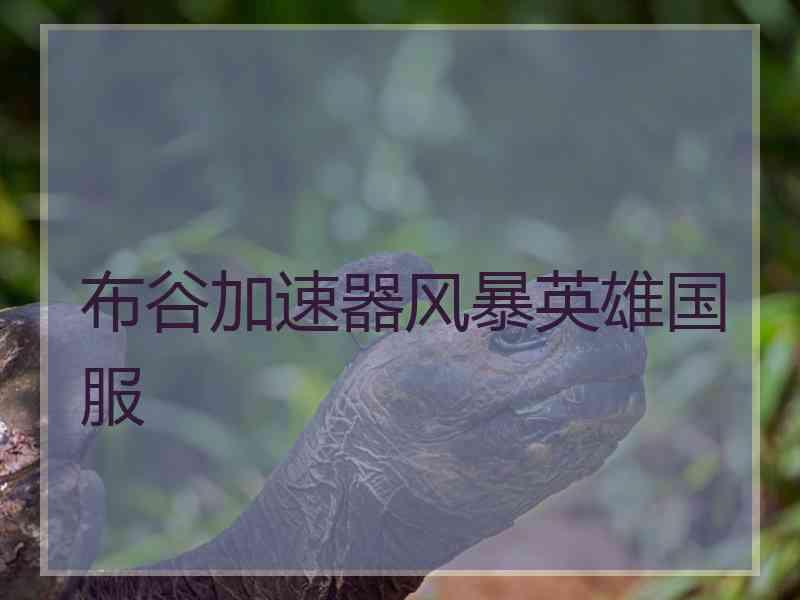 布谷加速器风暴英雄国服