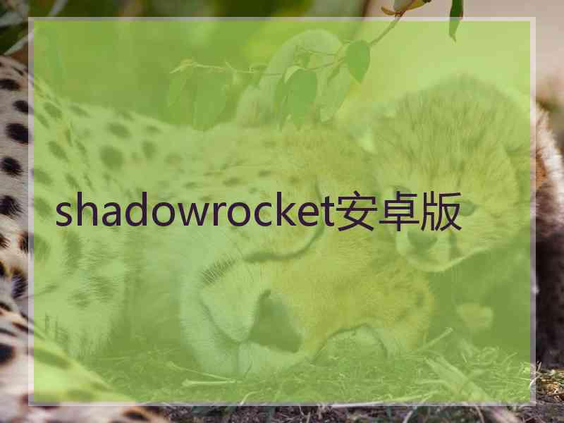 shadowrocket安卓版