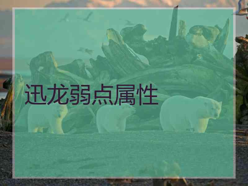 迅龙弱点属性