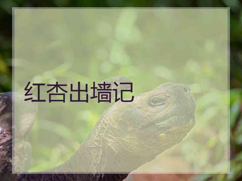 红杏出墙记