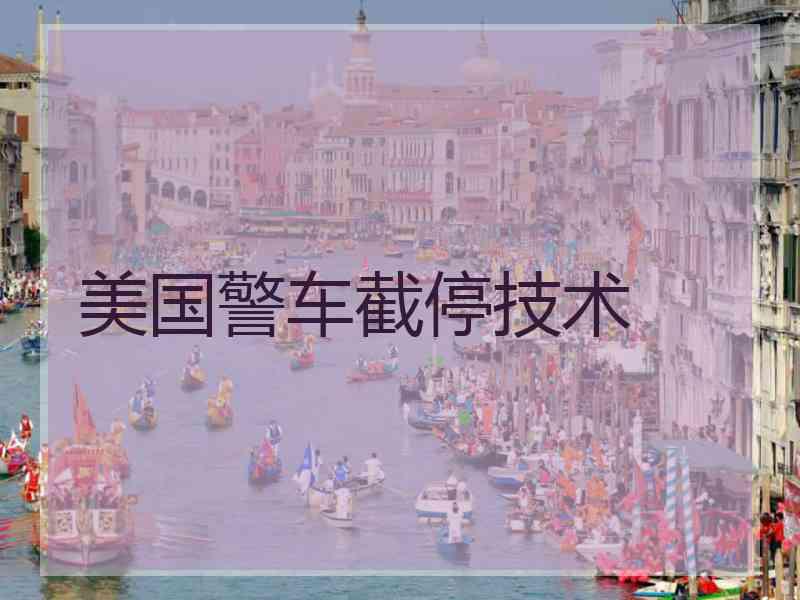美国警车截停技术