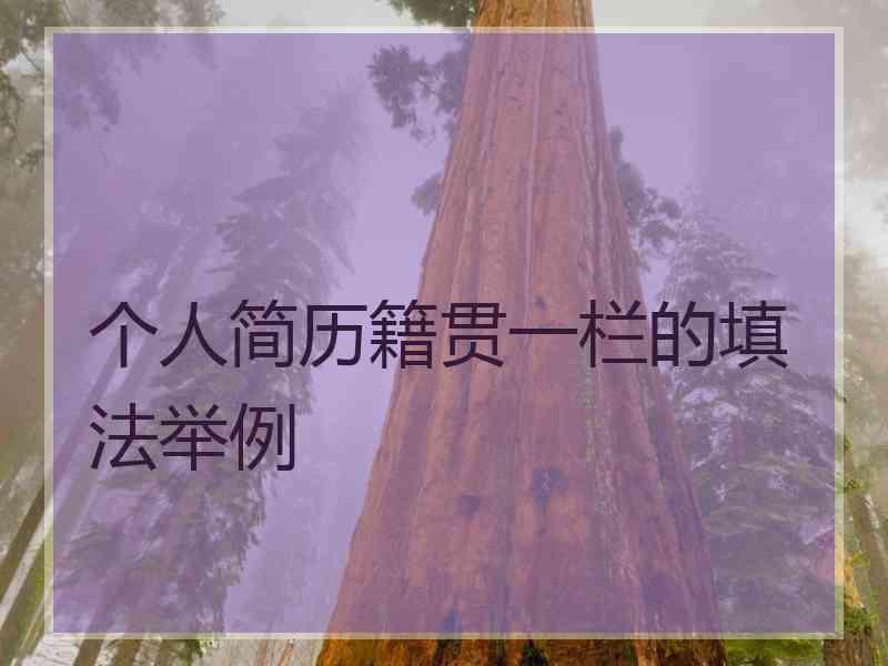 个人简历籍贯一栏的填法举例