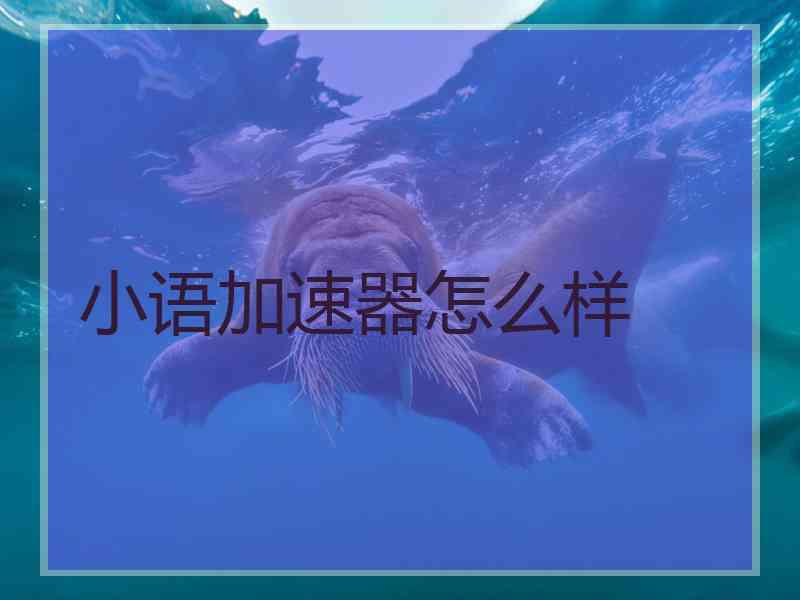 小语加速器怎么样