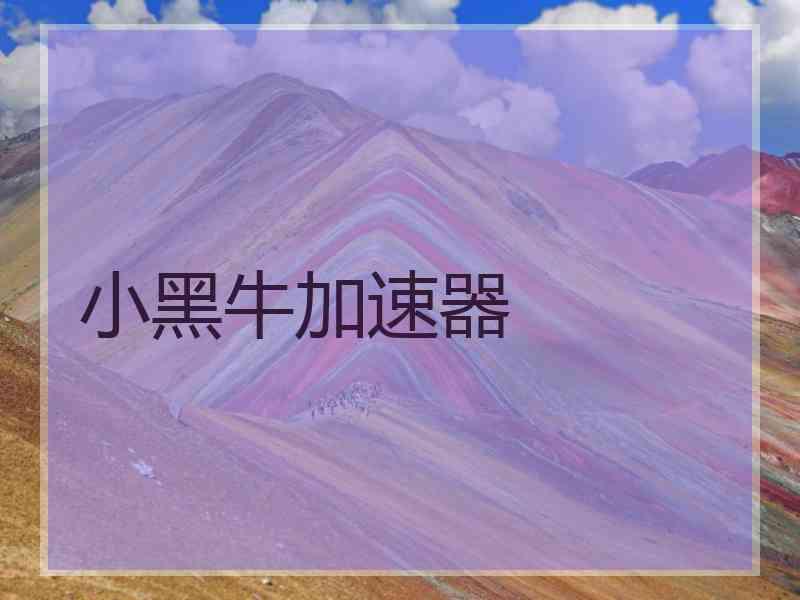 小黑牛加速器