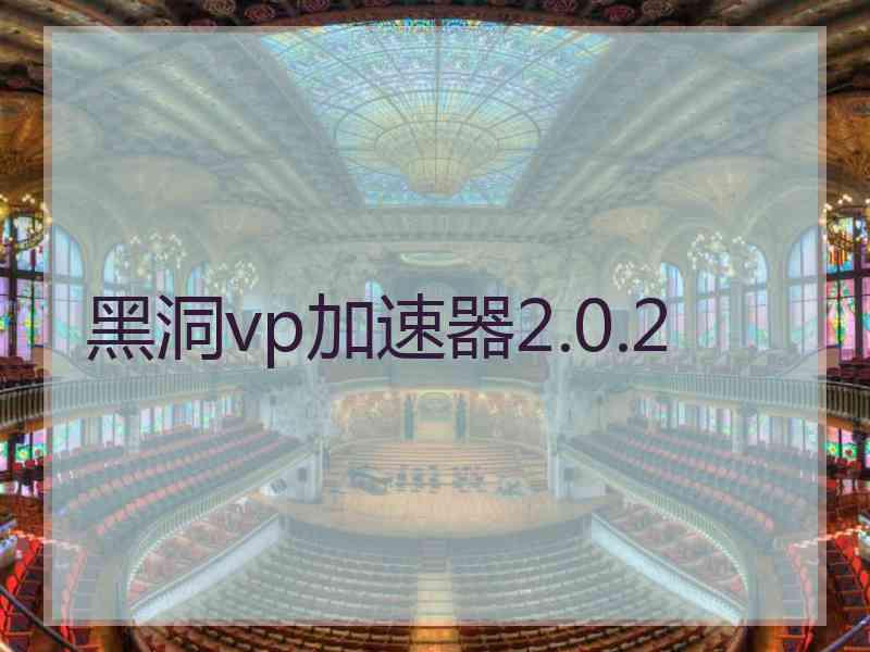 黑洞vp加速器2.0.2