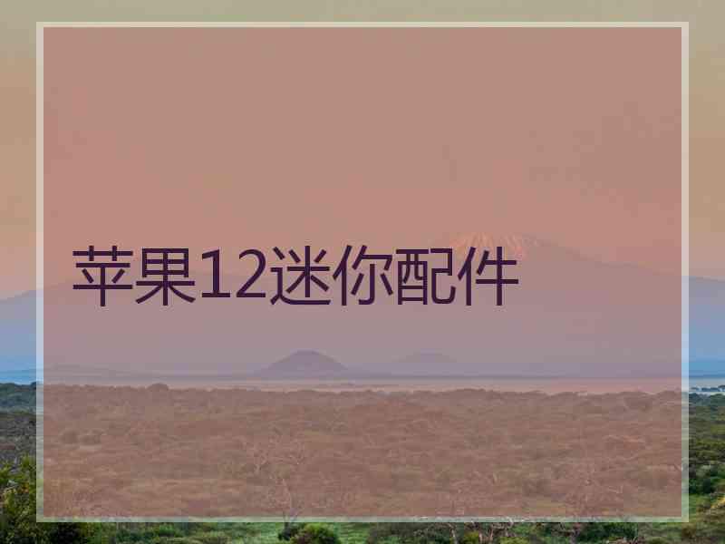 苹果12迷你配件