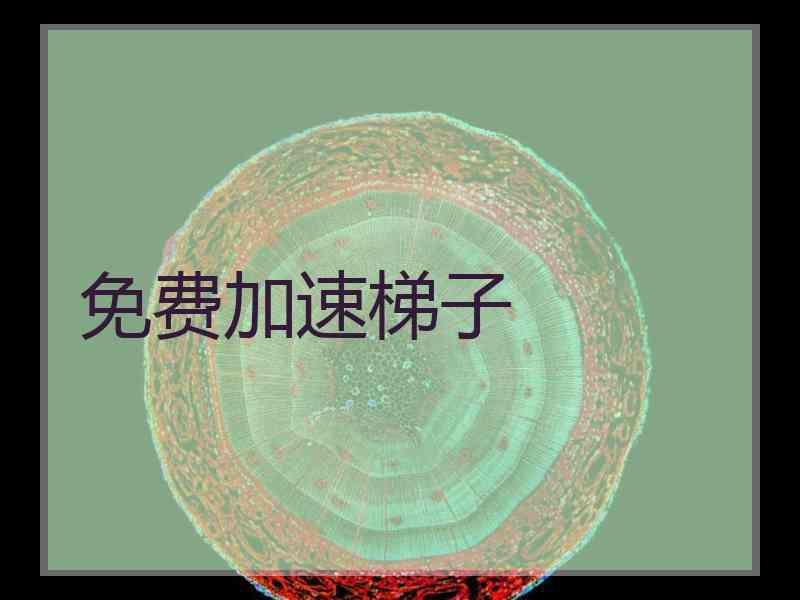 免费加速梯子