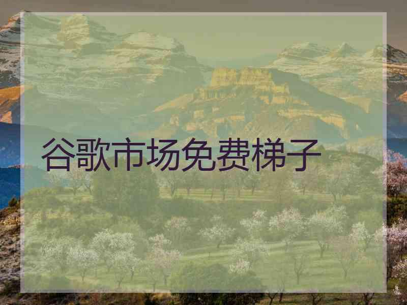 谷歌市场免费梯子