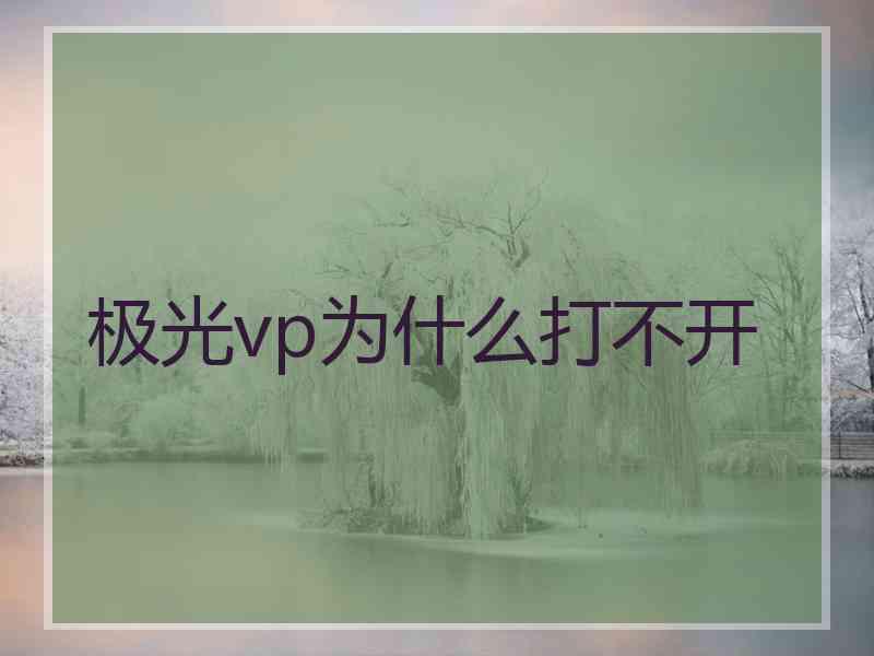 极光vp为什么打不开