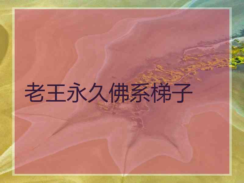老王永久佛系梯子
