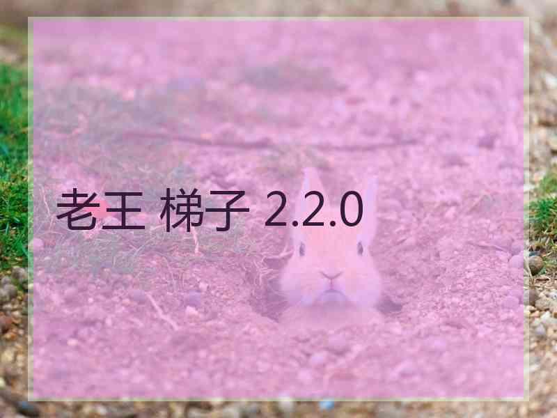 老王 梯子 2.2.0