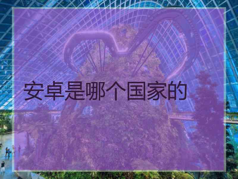 安卓是哪个国家的