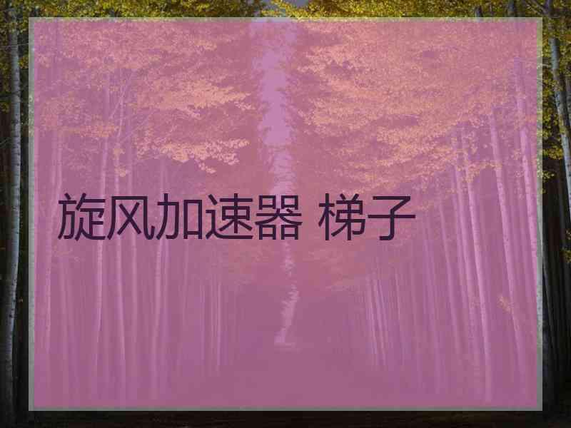旋风加速器 梯子