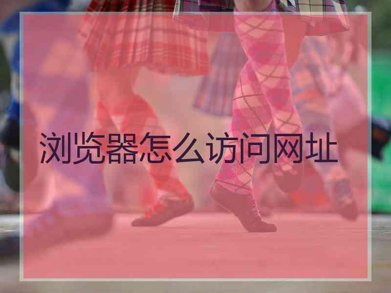 浏览器怎么访问网址