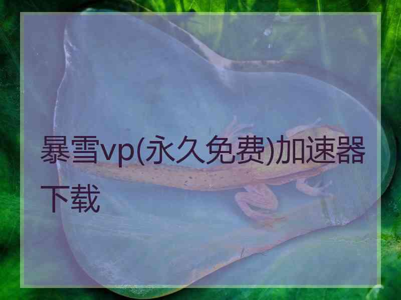 暴雪vp(永久免费)加速器下载