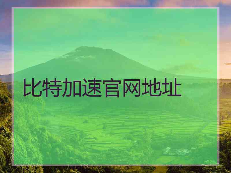 比特加速官网地址