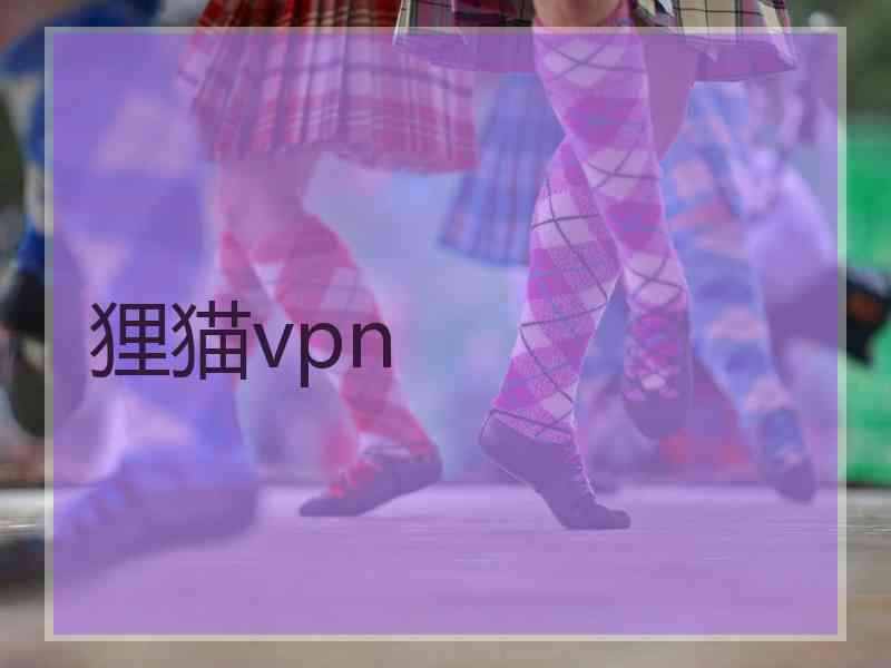 狸猫vpn