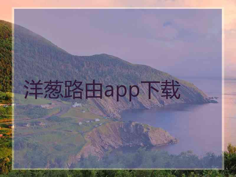 洋葱路由app下载