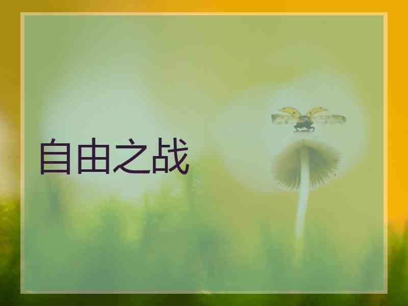 自由之战