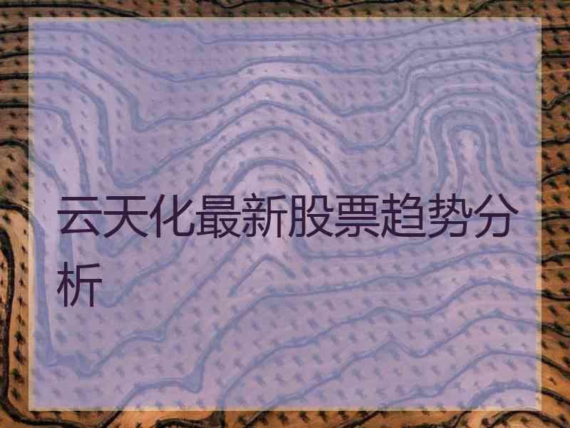 云天化最新股票趋势分析