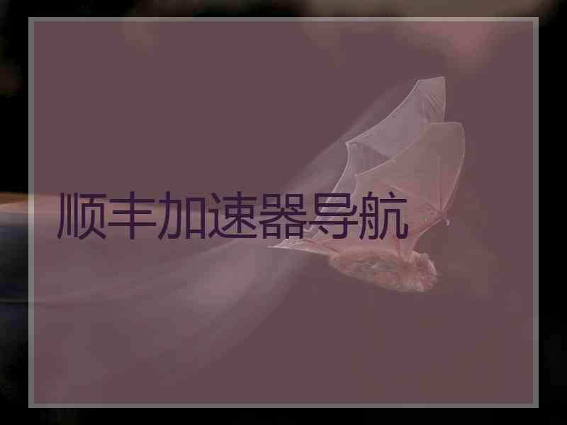 顺丰加速器导航
