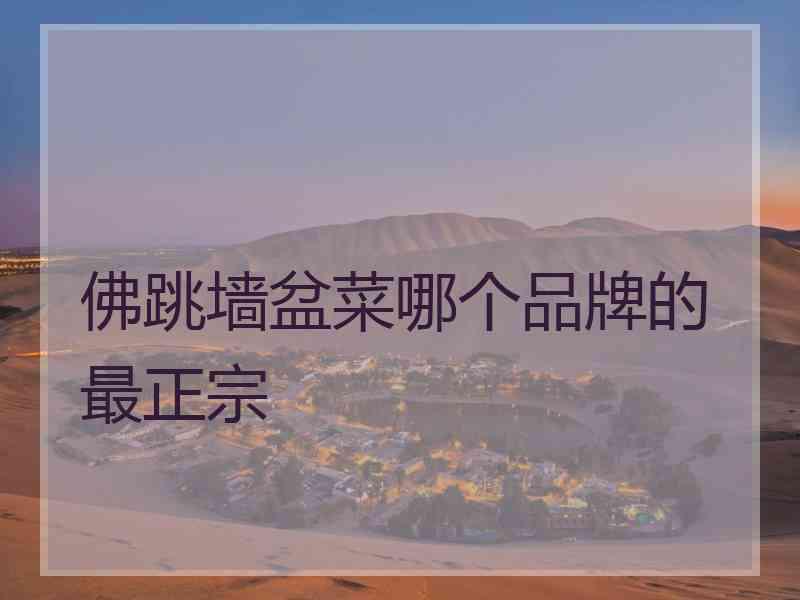 佛跳墙盆菜哪个品牌的最正宗