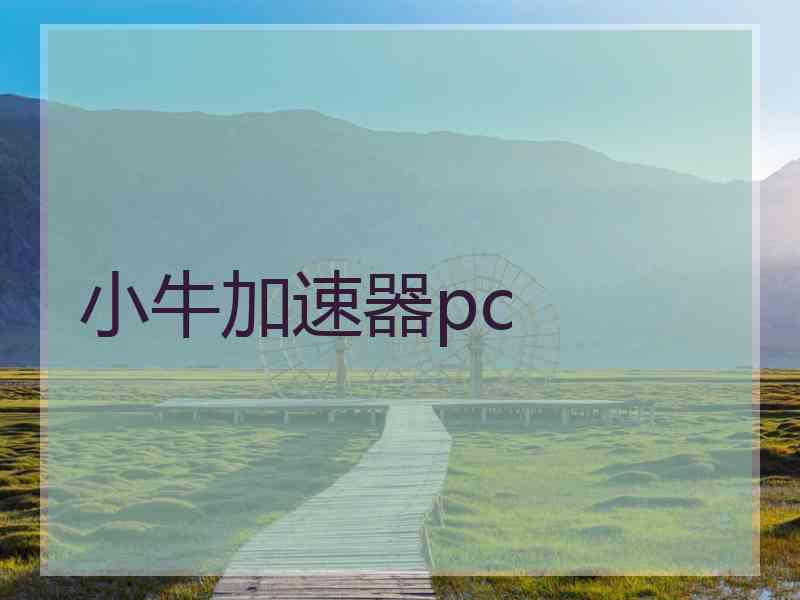 小牛加速器pc