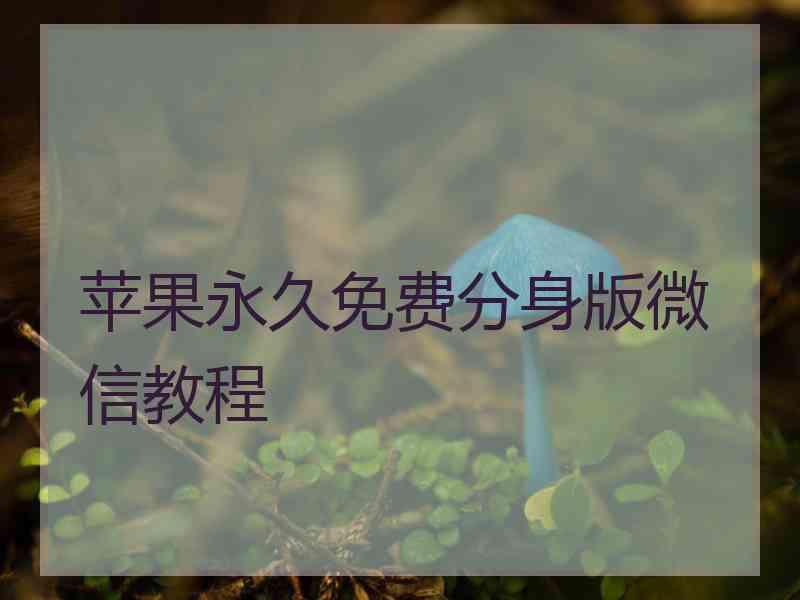 苹果永久免费分身版微信教程