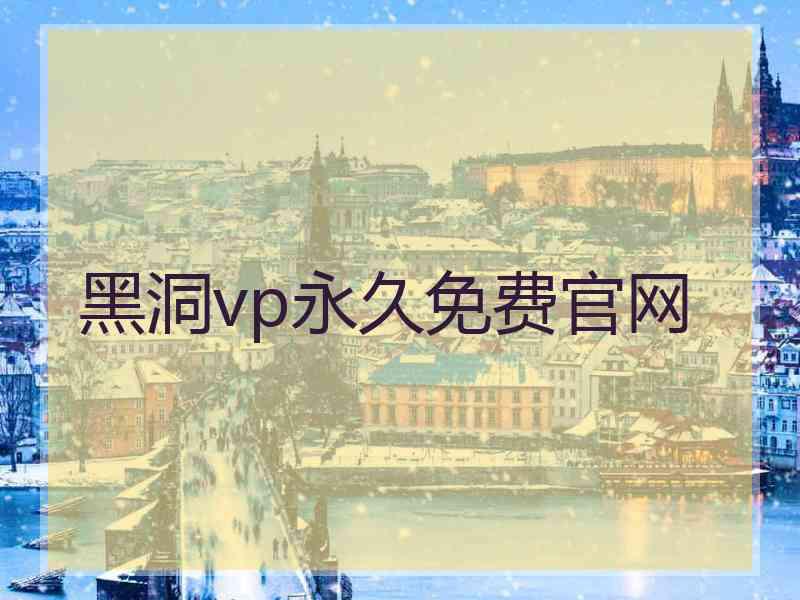 黑洞vp永久免费官网