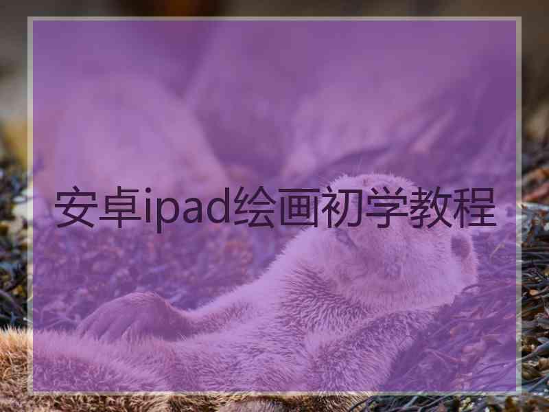 安卓ipad绘画初学教程