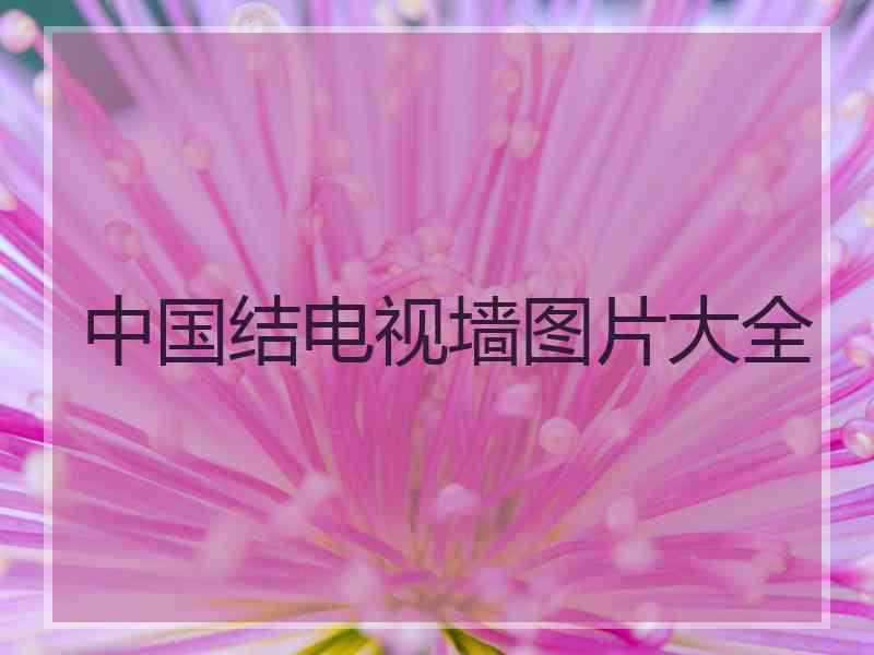 中国结电视墙图片大全
