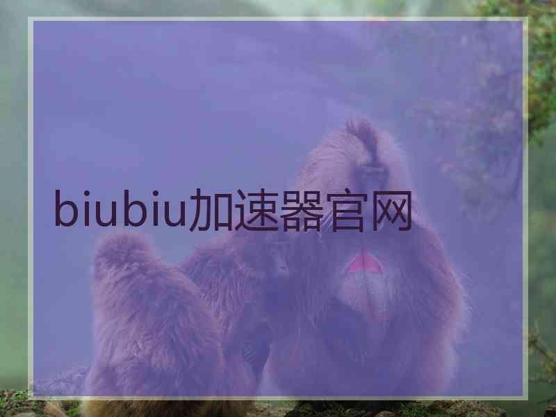 biubiu加速器官网