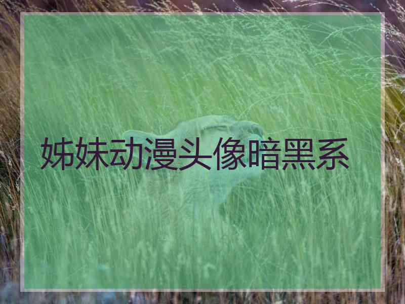 姊妹动漫头像暗黑系