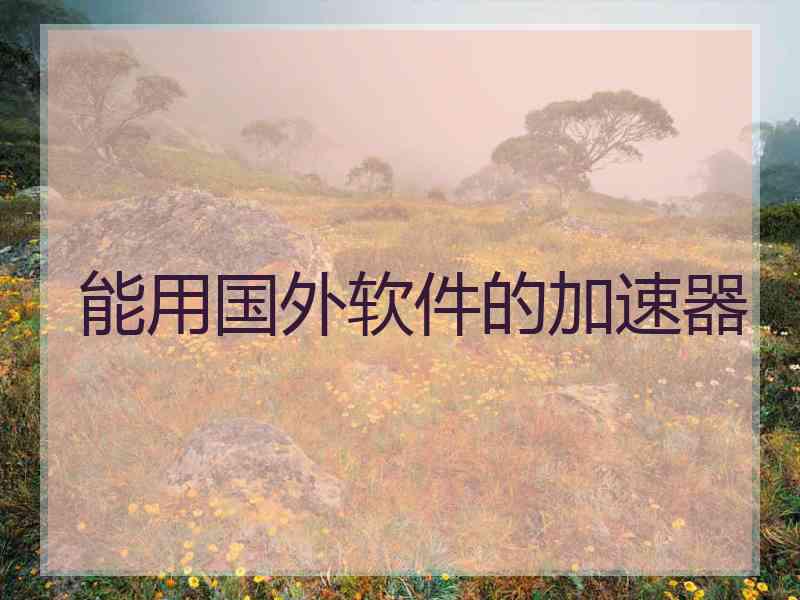 能用国外软件的加速器
