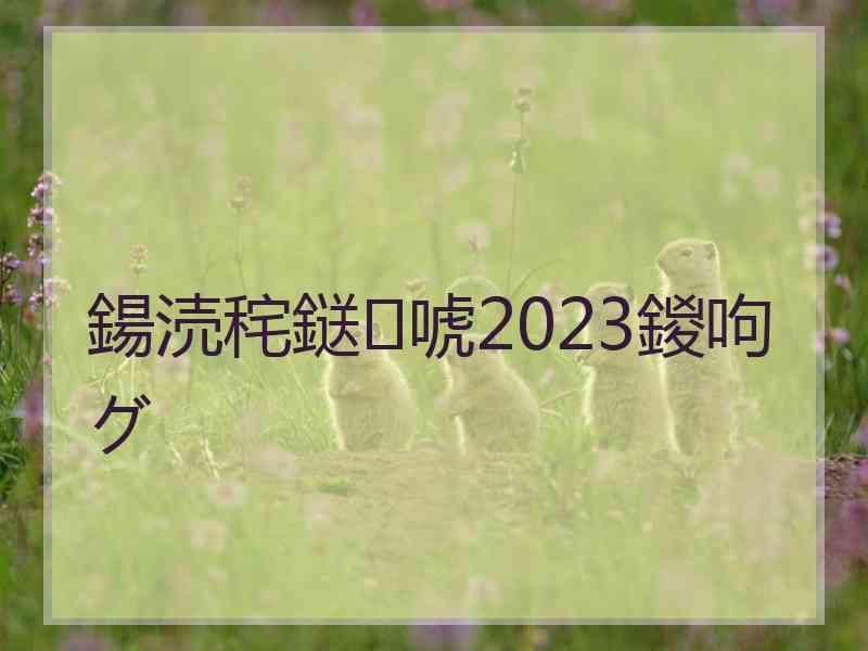 鍚涜秺鎹唬2023鍐呴グ