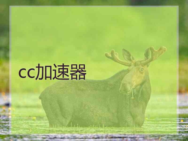 cc加速器