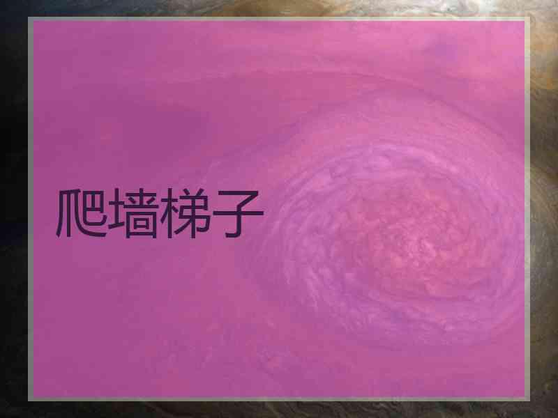 爬墙梯子