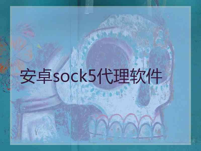 安卓sock5代理软件