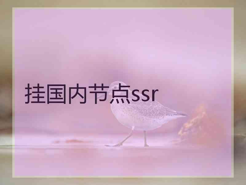 挂国内节点ssr