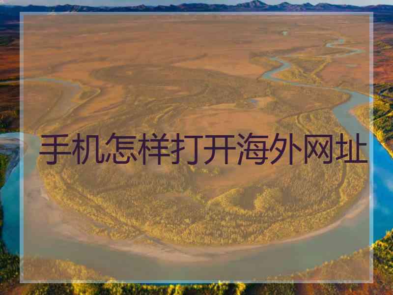 手机怎样打开海外网址