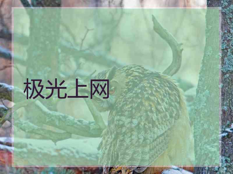 极光上网