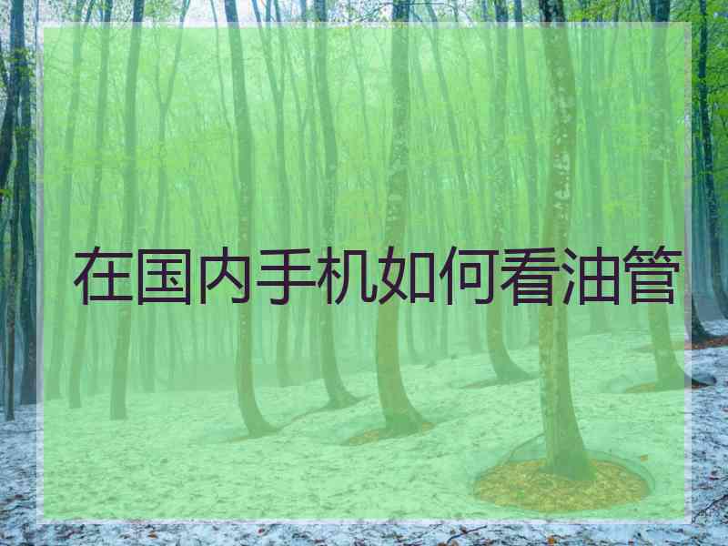 在国内手机如何看油管