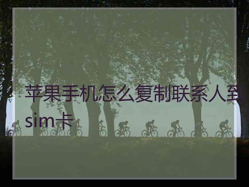 苹果手机怎么复制联系人到sim卡