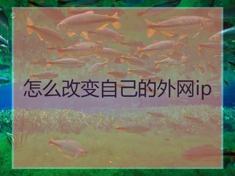怎么改变自己的外网ip