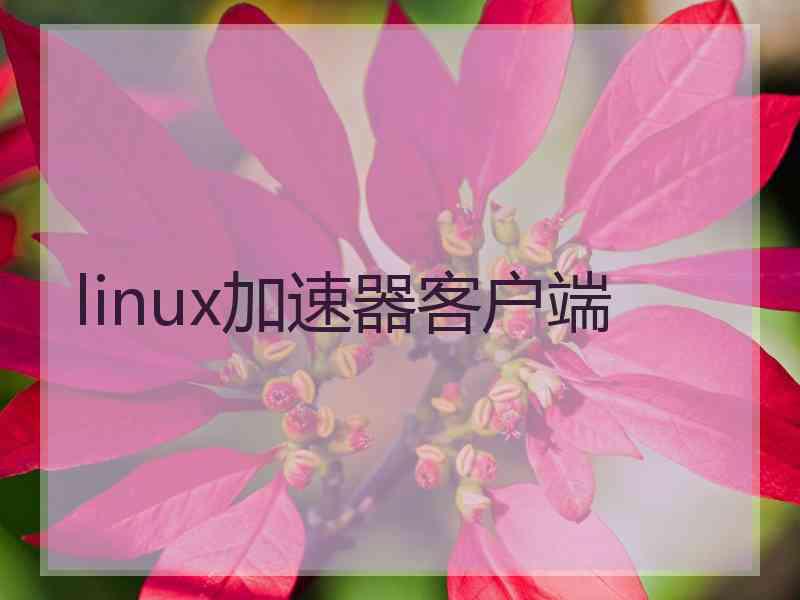 linux加速器客户端