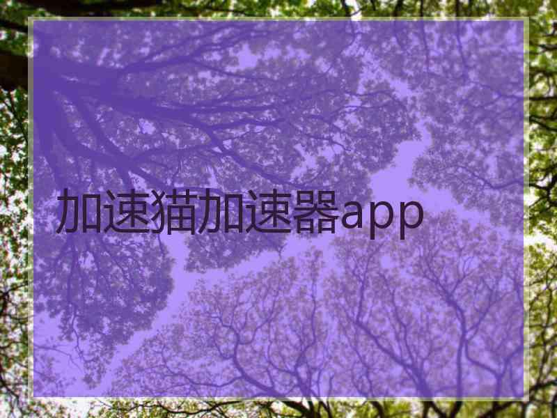 加速猫加速器app