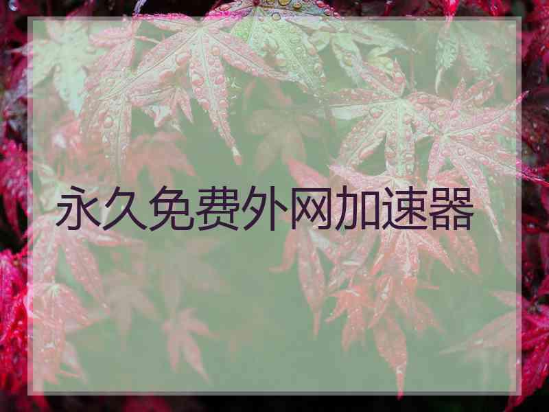 永久免费外网加速器